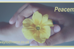 Peacemaker LOGO Master